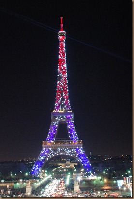 flowers and more eiffel tower under christmas lights flowers and more eiffel tower under christmas lights
