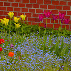 Kraków MAJ 2008 054.JPG