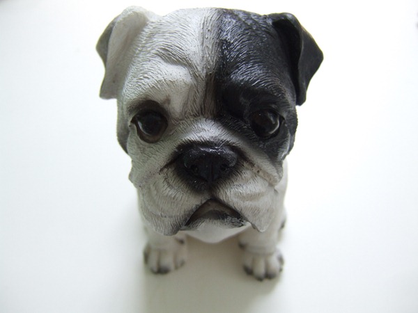 Little plastic dog Little plastic dog