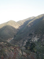 PC012365.JPG Photo