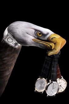 [SternEagle226x3404.jpg]