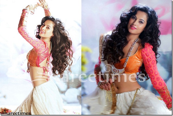Disha_Pandey_Full_Sleeves_Saree_Blouse Disha_Pandey_Full_Sleeves_Saree_Blouse