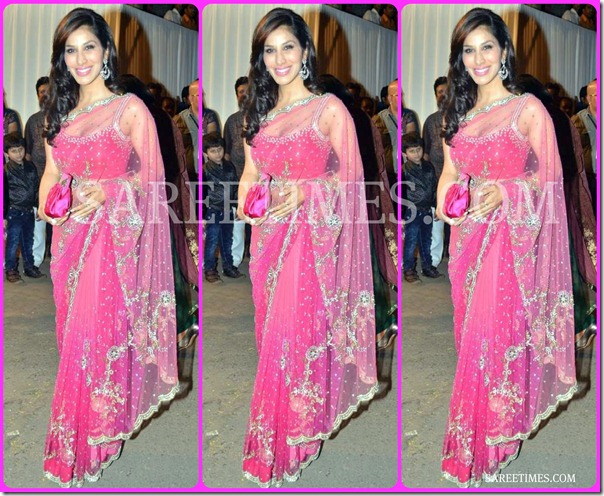 Sophie_Chaudhary_Pink_Saree