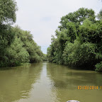 IMG_5202.JPG