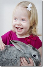 bunny 001 copy