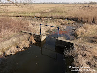 dsc07273.jpg