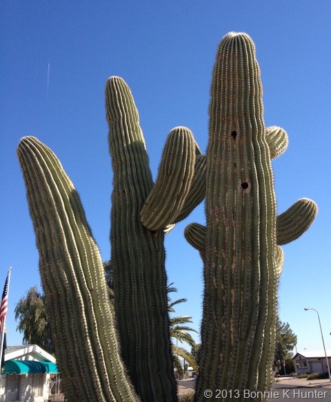 [AZ_Jan2013%2520188%255B5%255D.jpg]