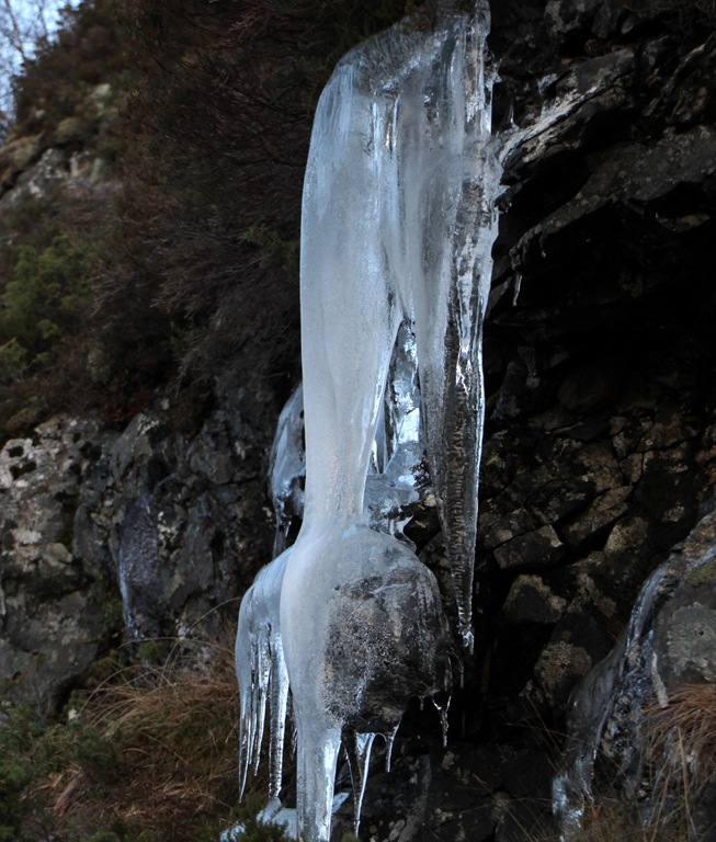 [IMG_7751%255B5%255D.jpg]