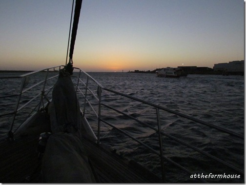 IMG_2783a IMG_2783a