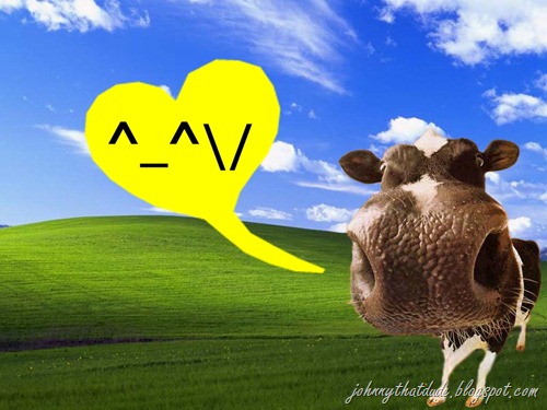 funny_cow_wallpaper-29096