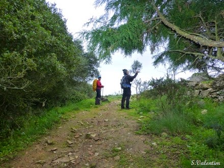 [P1140562%255B5%255D.jpg]