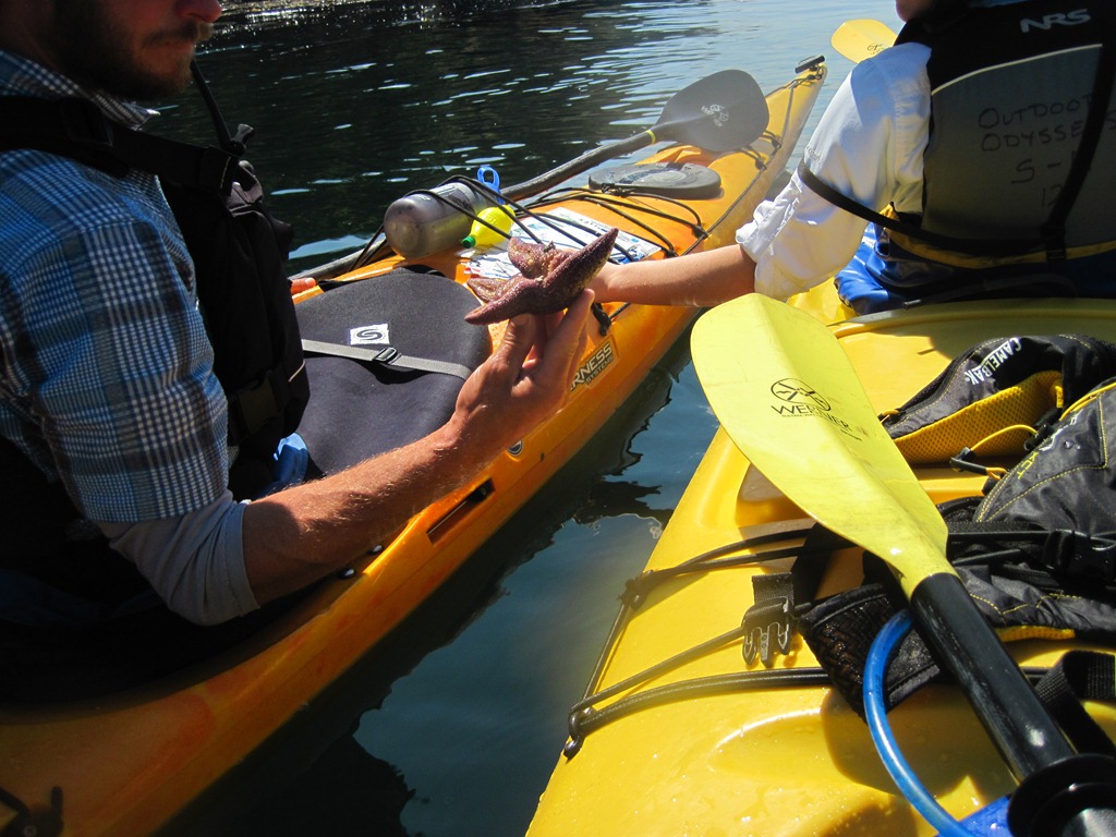 [IMG_0939%255B4%255D.jpg]