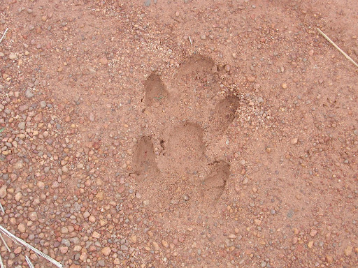 Image123