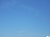 DSCN0212.JPG
