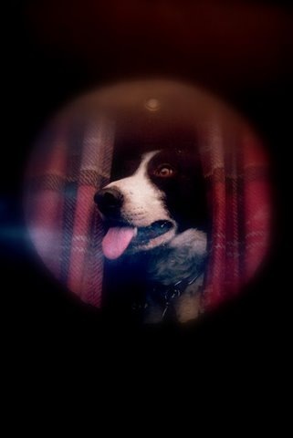[mirror%2520021%2520%25282%2529%255B4%255D.jpg]