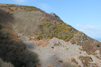 IMG_5995.JPG Photo