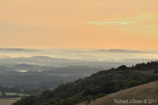 DSC_7445_Edit01_crop DSC_7445_Edit01_crop