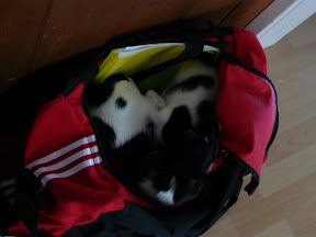 P1000145.JPG