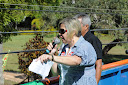 DSC_1462.JPG