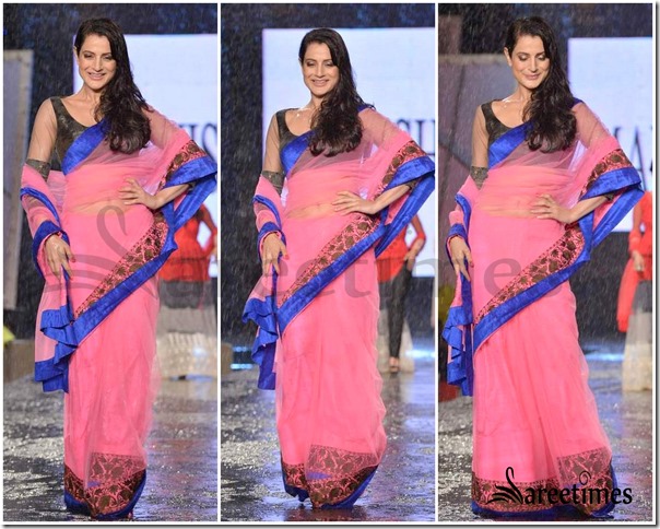 Amisha_Patel_Manish_Malhotra_Saree (1)
