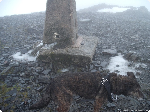 driech top of skiddaw