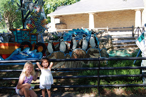 Zoo