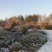 DSC00414.JPG