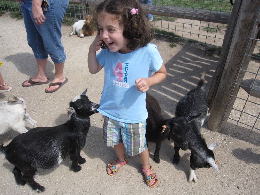 [Picture%2520156%255B3%255D.jpg]