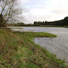 dsc06943.jpg