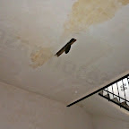 TurnPrimarie Oradea%252520%25252811%252529 Poze din Turnul Primariei Oradea 2011