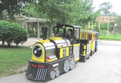 Buttonwood park 7.25.2013 train Buttonwood park 7.25.2013 train