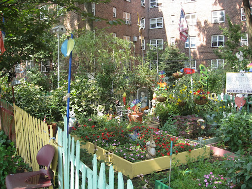 Flower gardens are the original - and still most popular - garden category. This colorful example from the South Bronx flies in the face of convention as a respite from all the brick and concrete.