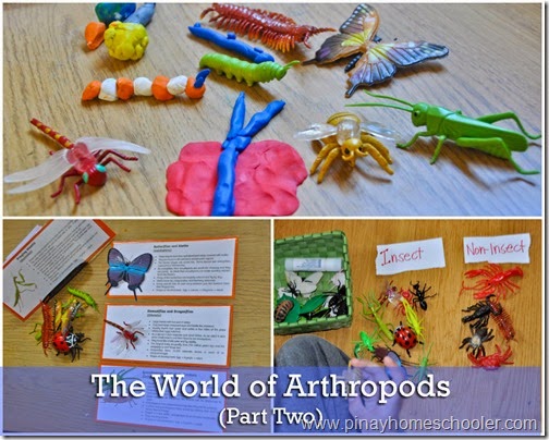 The World of Arthropods (Part Two)