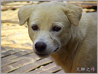 DSCF6777 DSCF6777
