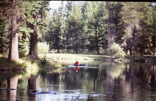 A lone caneist plies the quiet waters of an unknown stream not far from southern Oregon's Klamath Lake. This is big ponderosa pine country. At one time, there were several sawmills in the town of Klamath Falls, but the collapse of the federal timber sale program has devastated the once bustling community.