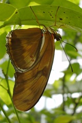 BILD0221