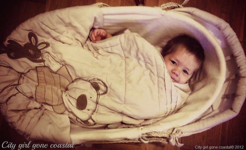 [ethan%2520in%2520a%2520basket%255B3%255D.jpg]