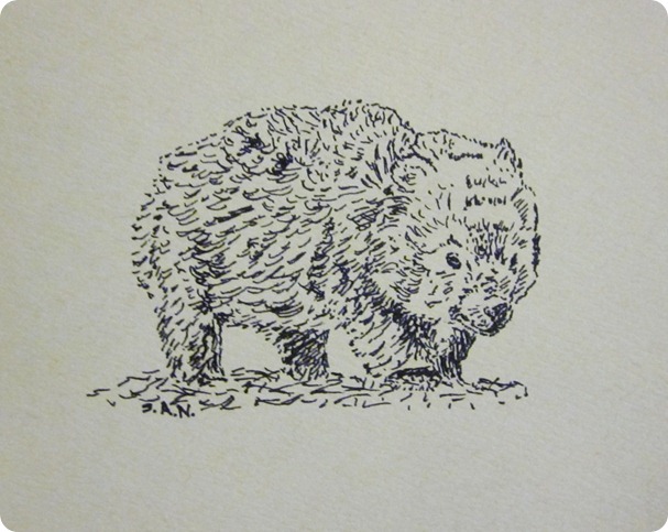 wombat 002