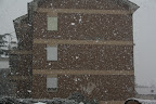 IMG_2951.JPG
