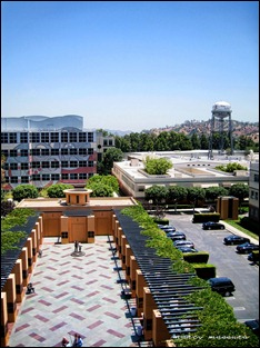 IMG_3461 copy