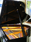 Waldstein Grand
