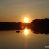 dsc03516.jpg