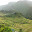 Philippines- Banaue