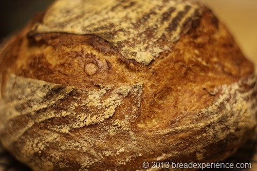 white-poolish-bread_035 white-poolish-bread_035