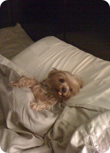 photo (2)