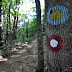 2011.09.11. - Trdinov vrh