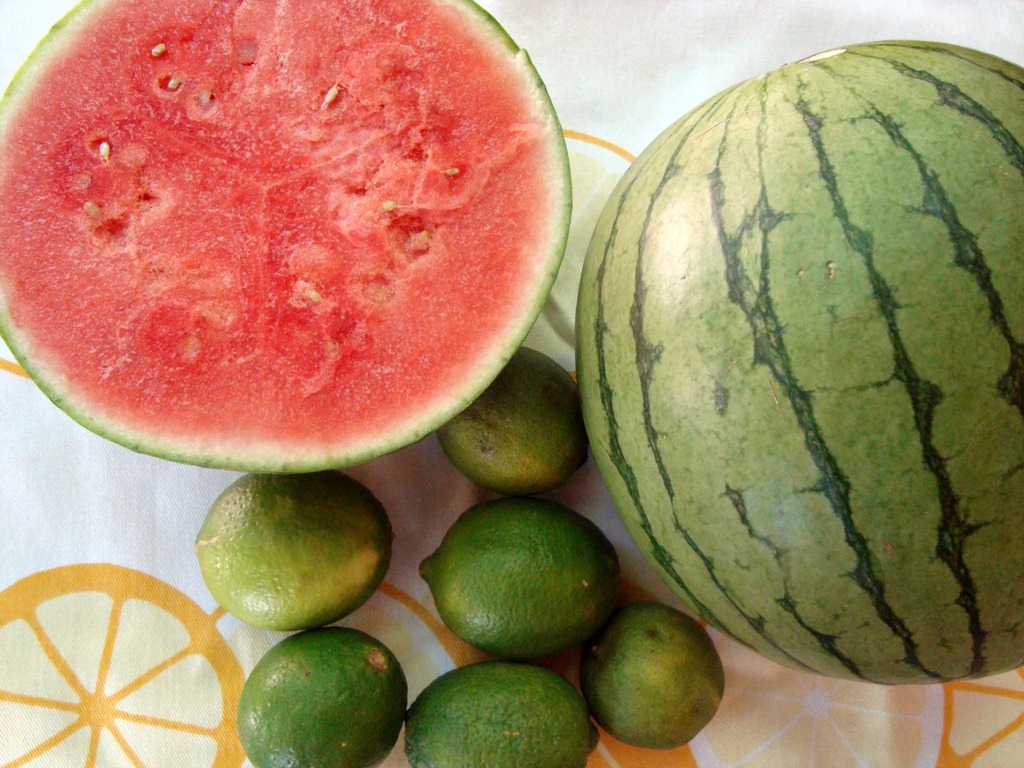 [watermelon%2520and%2520lime%255B3%255D.jpg]