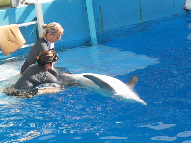 [SAM_1916%255B3%255D.jpg]