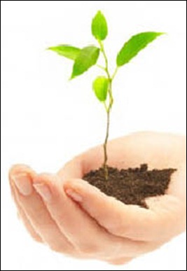 23-planta 23-planta