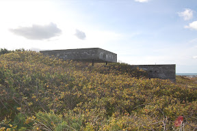 DSC_0308.JPG